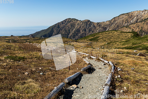 Image of Hiking trail in Mount Tate