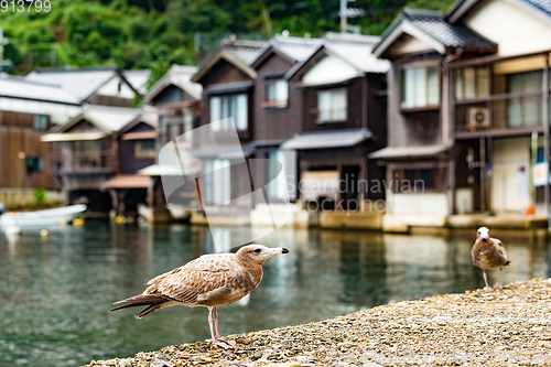 Image of Seaside town in Ine-cho of Kyoto city of Japan