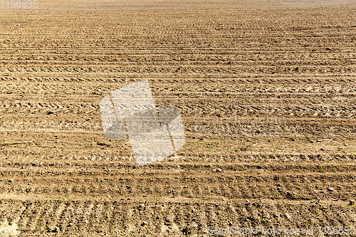 Image of traces on plowed field