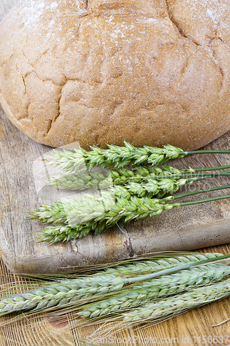 Image of green wheat and rye