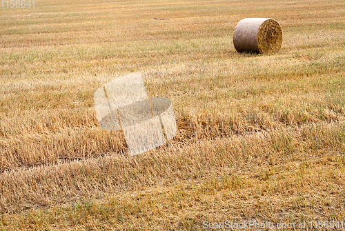 Image of one stack of straw