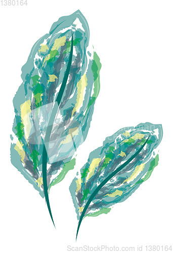 Image of Water color feather painting vector or color illustration