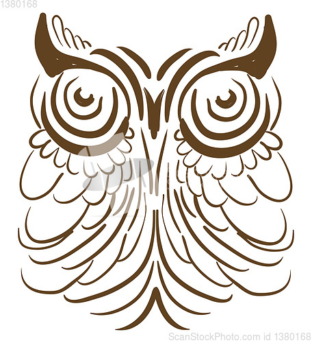 Image of An owl with big eyes vector or color illustration