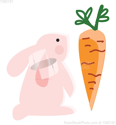 Image of A pink rabbit looking at the big orange carrot vector color draw