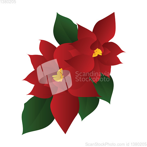 Image of Vector illustration of red poinsettia flower with green leafs on