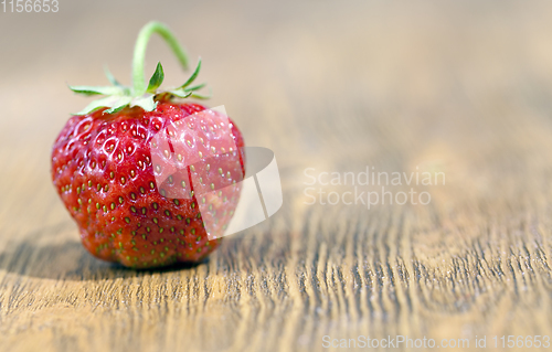 Image of one red strawberry