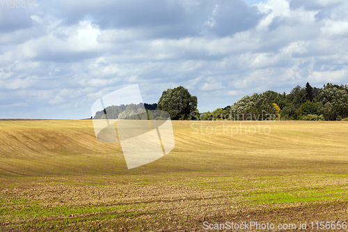 Image of agricultural field