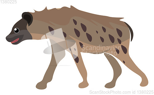 Image of A portrait of a hyena set on isolated white background viewed fr