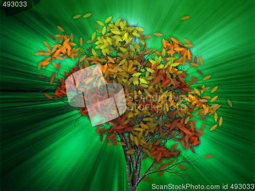 Image of Tree with falling leaves, illustration