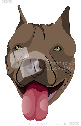 Image of Pitbull illustration vector on white background