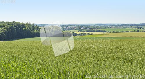 Image of rural scenery in Hohenlohe