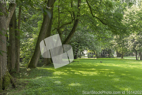 Image of idyllic park scenery