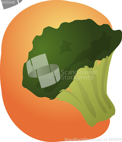 Image of Brocolli illustration