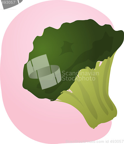 Image of Brocolli illustration