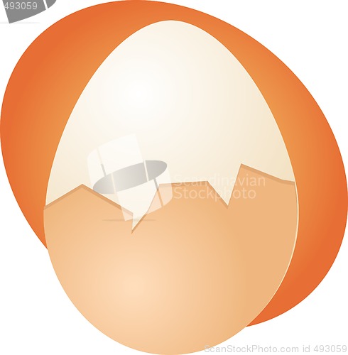 Image of Egg illustration