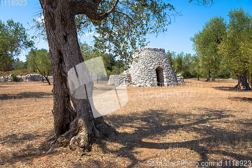 Image of Puglia Region, Italy. Traditional warehouse made of stone