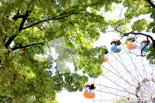Image of ferris wheel in the park