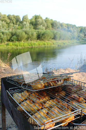 Image of barbecue from chicken 's meat cooked in the nature