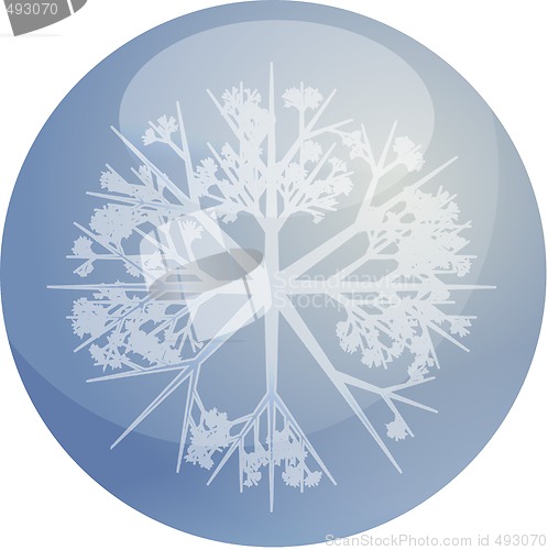 Image of Snowflake globe