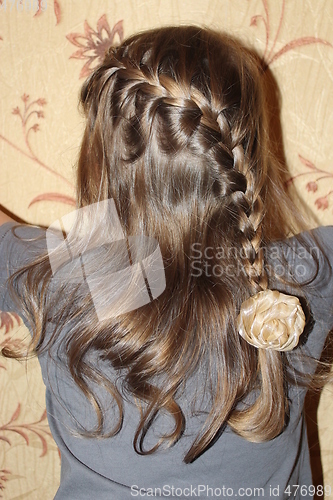 Image of young girl with nice braids back view