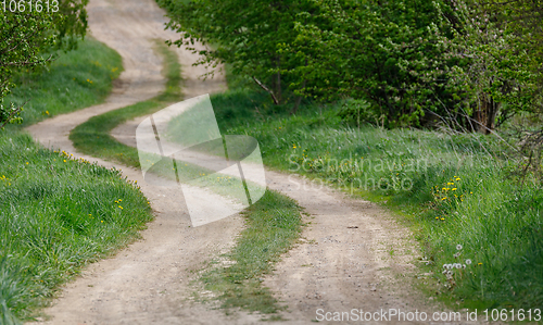 Image of countryside rural forest path