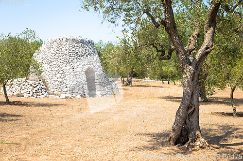 Image of Puglia Region, Italy. Traditional warehouse made of stone