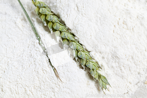 Image of green wheat ear