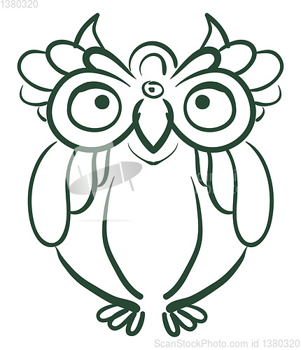 Image of An owl with round eyes vector or color illustration