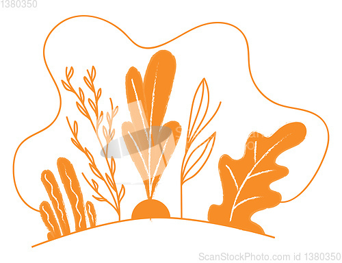 Image of Clipart of orange-colored plants vector or color illustration