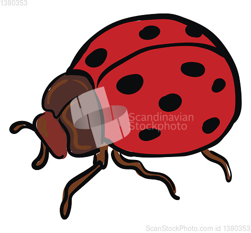 Image of A big ladybug with brown body looks cute vector or color illustr