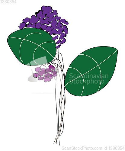 Image of Line art of purple-colored flowers with green leaves vector or c