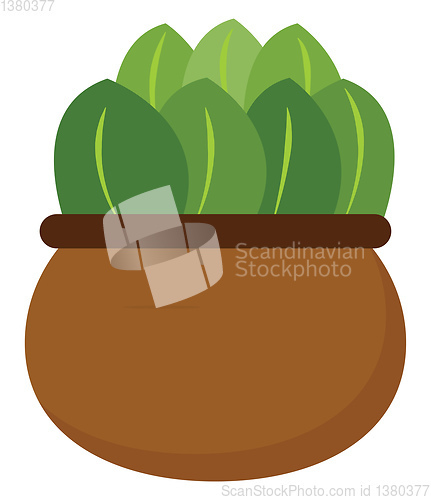 Image of Clipart of a green plant potted on a brown earthen pot vector or