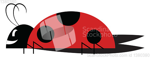 Image of A cute little lady bug vector or color illustration