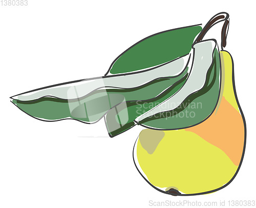 Image of Pear with leaves vector or color illustration