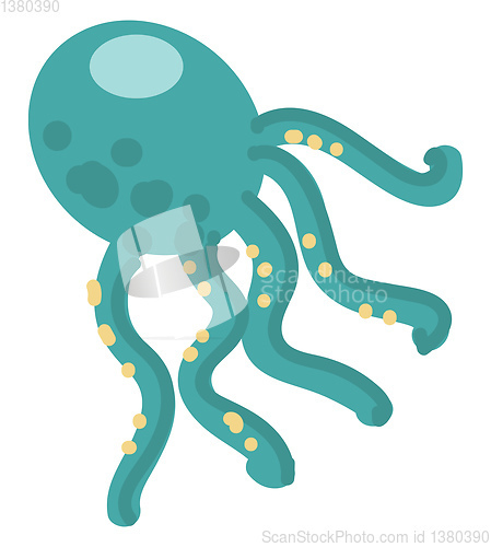 Image of Octopus illustration vector on white background 