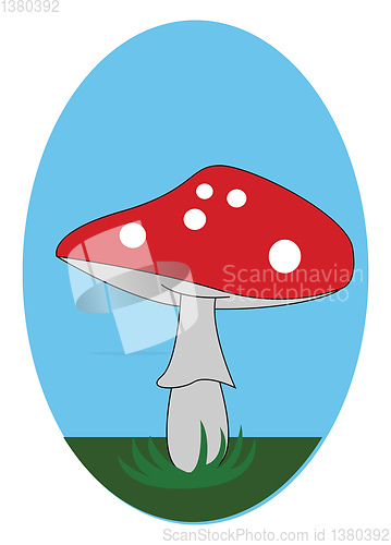 Image of A cute little red-colored mushroom vector or color illustration