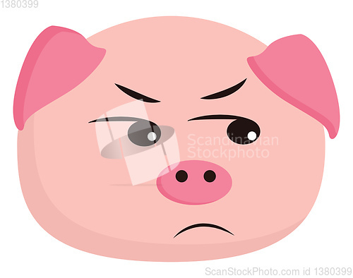 Image of An angry Pig vector or color illustration