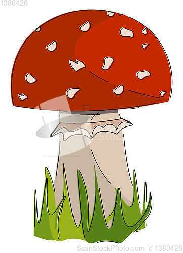 Image of Agaric mushroom vector or color illustration