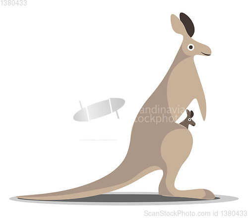 Image of Kangaroo with baby vector or color illustration