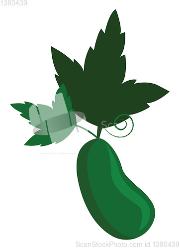 Image of Simple cucumber vector illustration on white background.