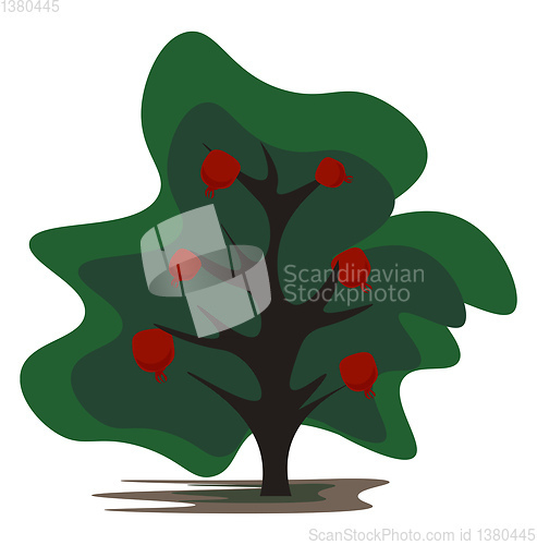 Image of Cartoon pomegranate tree vector or color illustration