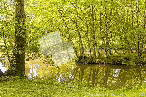 Image of idyllic park scenery