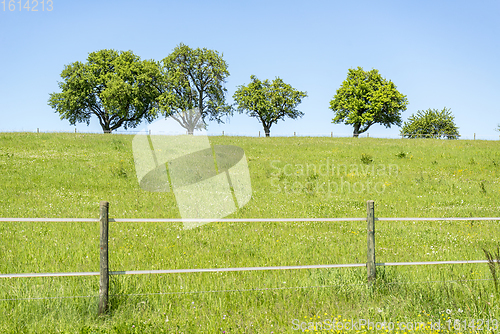 Image of idyllic spring time scenery