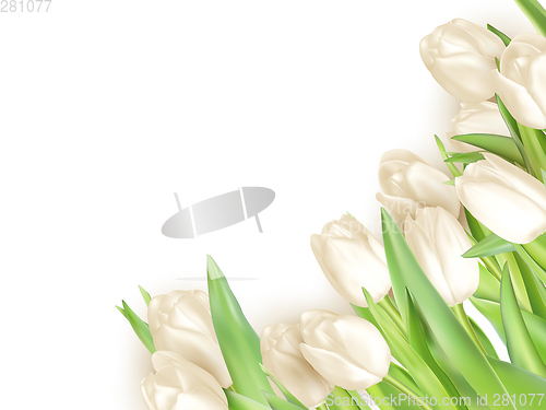 Image of Tulips decorative background. EPS 10