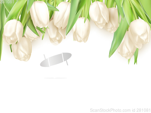 Image of Isolated tulip frame. EPS 10