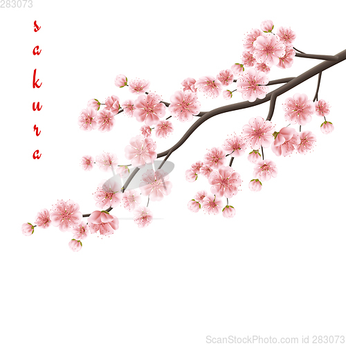 Image of Realistic sakura blooming flowers. EPS 10