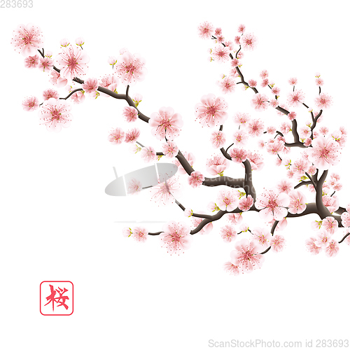 Image of Realistic sakura blooming flowers. EPS 10