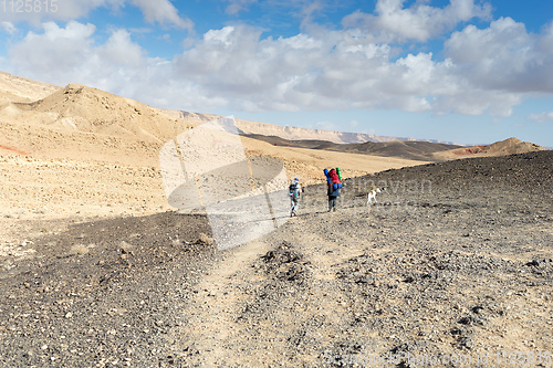 Image of Trekking in Negev dramatic stone desert, Israel 