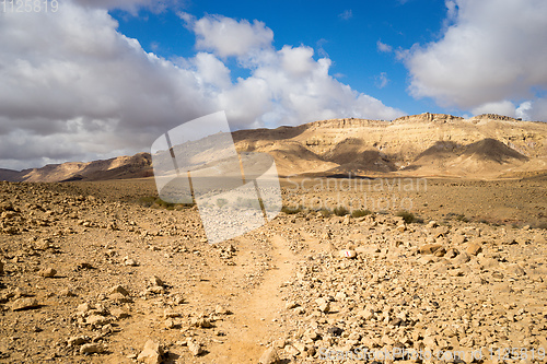 Image of Trekking in Negev dramatic stone desert, Israel 