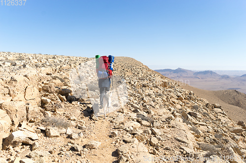 Image of Trekking in Negev dramatic stone desert, Israel 